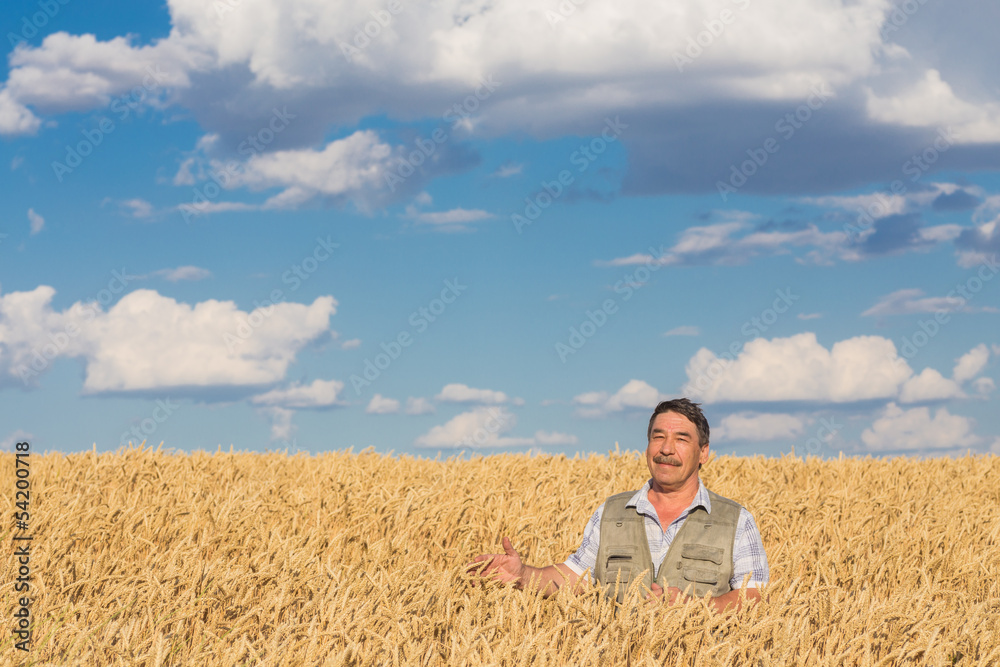 farmer standing in a wheat field farmer standing in a wheat field
