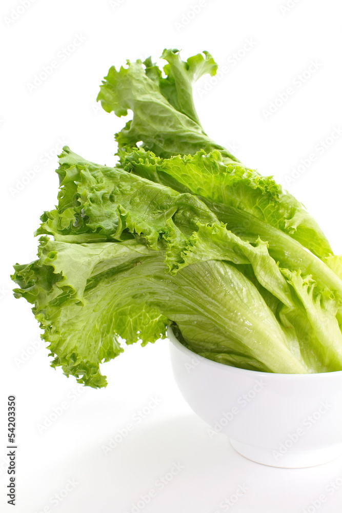 Fresh green lettuce isolated on a white Fresh green lettuce isolated on a white