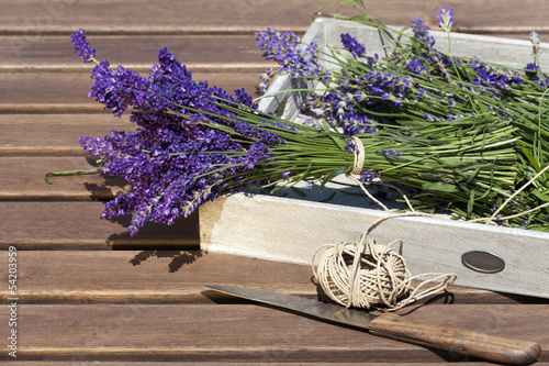Lavendel mit Faden zusammengebunden photo