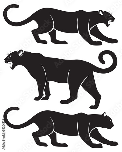 puma