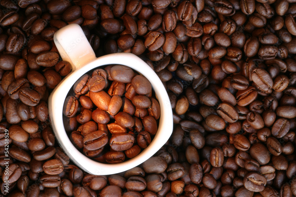 Fototapeta premium KAFFEE © HERBY MESERITSCH 