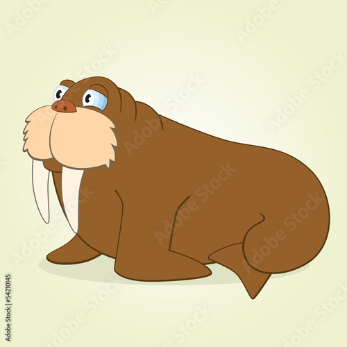 Walrus
