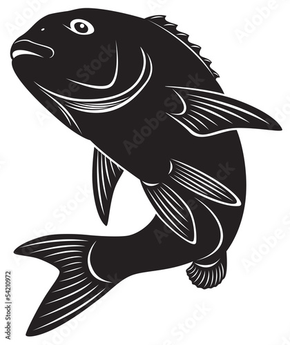 sea bass