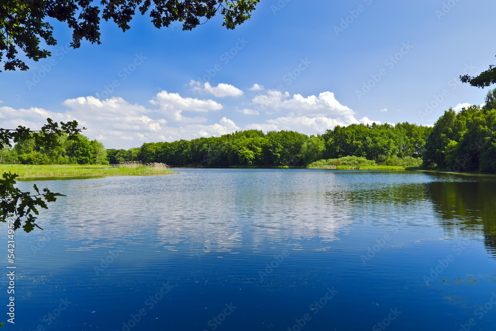 Obraz premium Beautiful blue lake in the forest