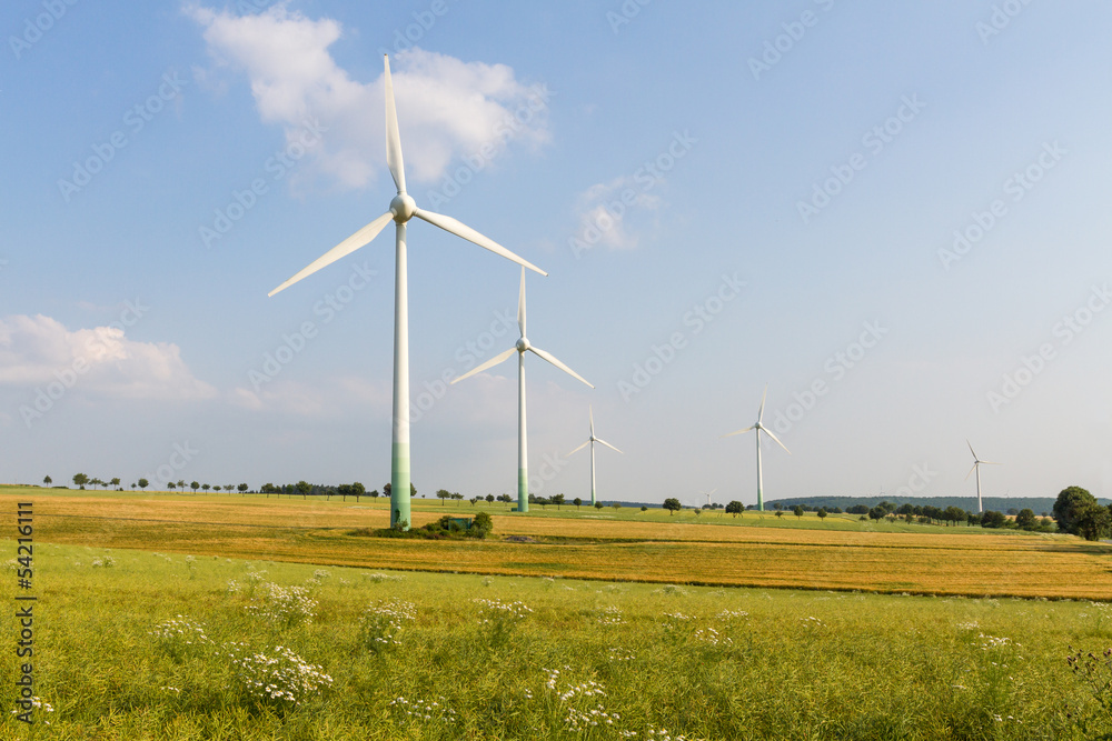 5 Wind engines with wild meadow and wheat field 5 Wind engines with wild meadow and wheat field