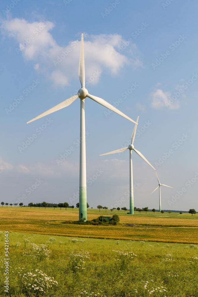 3Wind engines with wild meadow and wheat field 3Wind engines with wild meadow and wheat field