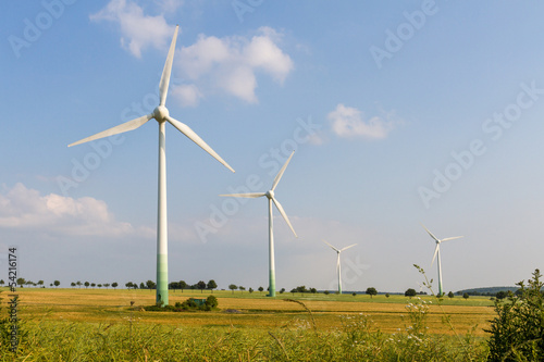 4 Wind engines with wild meadow and wheat field