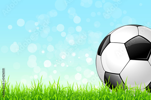 Soccer Ball on Green Grass Background