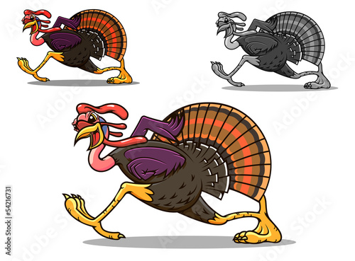 Running turkey bird