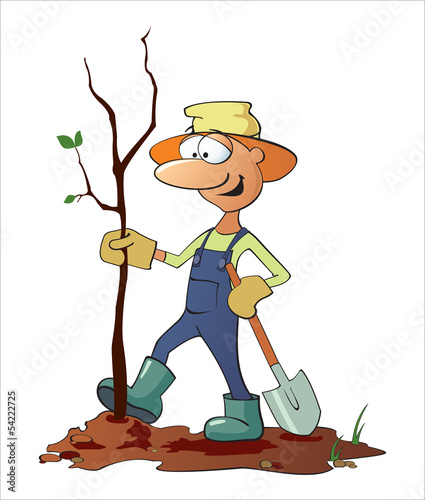 Gardener plants a tree