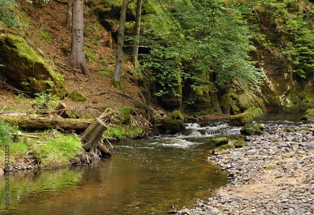Shallow river with stones Shallow river with stones
