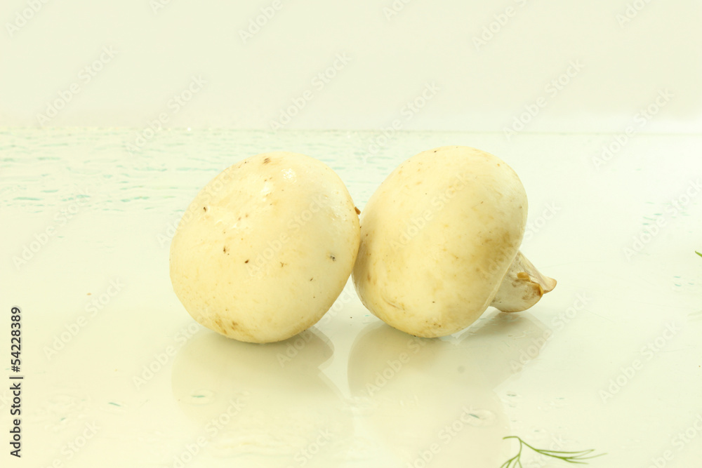 Fototapeta premium mushrooms