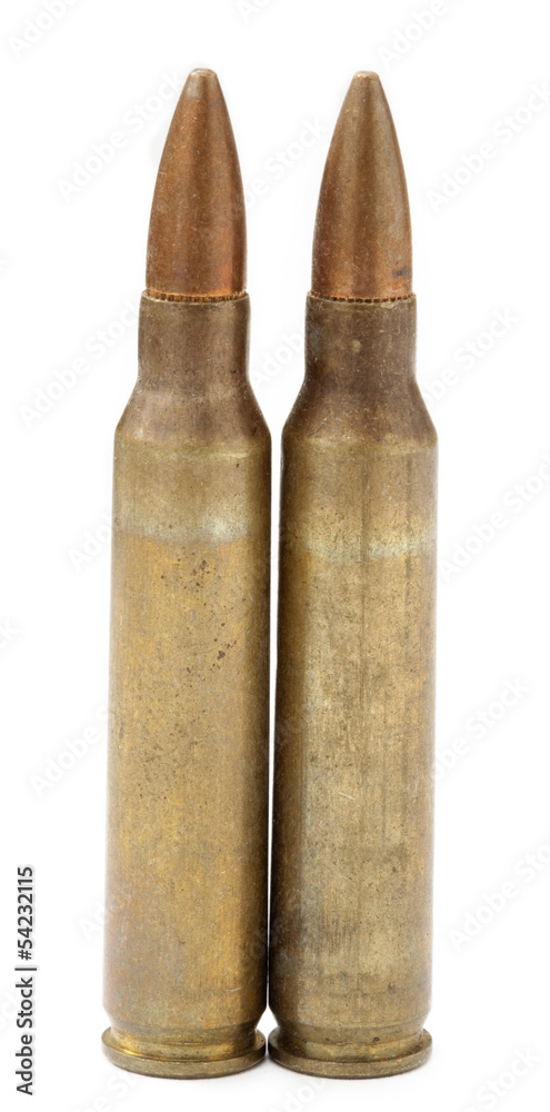 Two 5.56 Cartridges and Bullets Two 5.56 Cartridges and Bullets