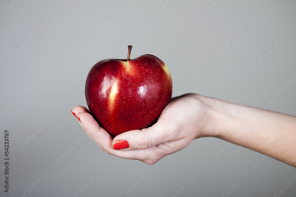 Czerwone jabłko na dłoniu - obrazy, fototapety, plakaty 