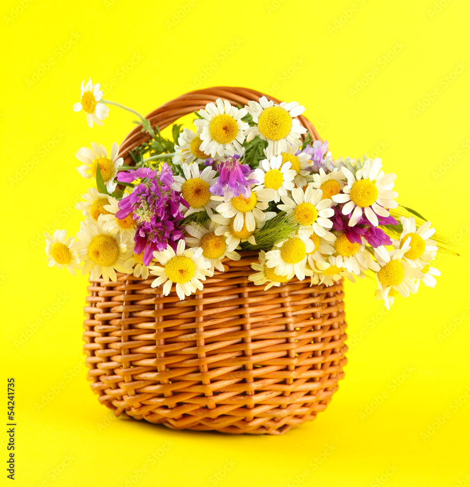 Beautiful wild flowers in basket, on yellow background