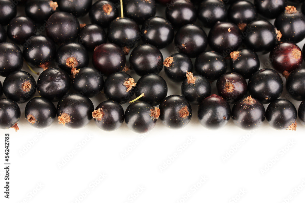Fresh black currant isolated on white Fresh black currant isolated on white