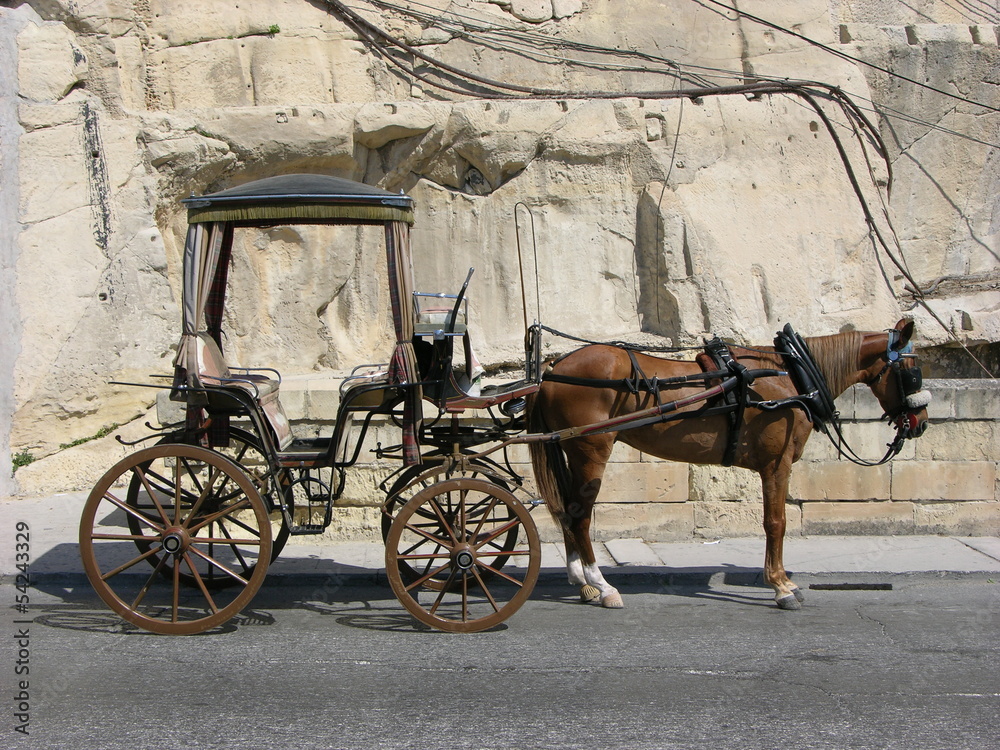 Horse carriage in Malta