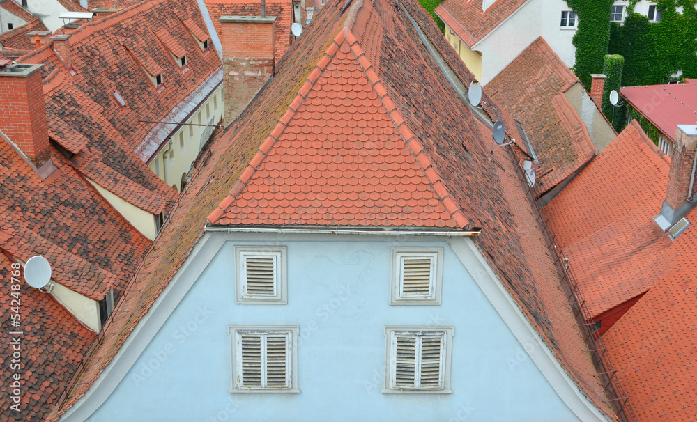 Roof of the old house