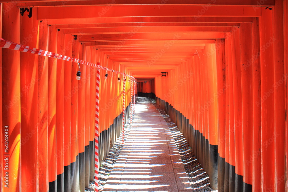 Fototapeta premium Kyoto Fushimi Inari Taisha Senbon Torii