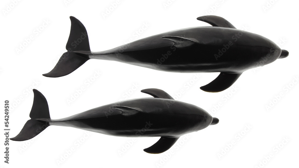 Dolphins Dolphins
