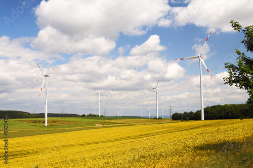Wind mill generators on a yellow field with blue sky and clouds
