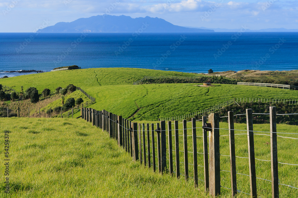 Obraz premium fence across meadows at Tawharanui park
