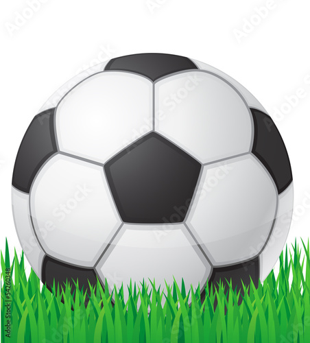 football soccer ball in grass background vector illustration