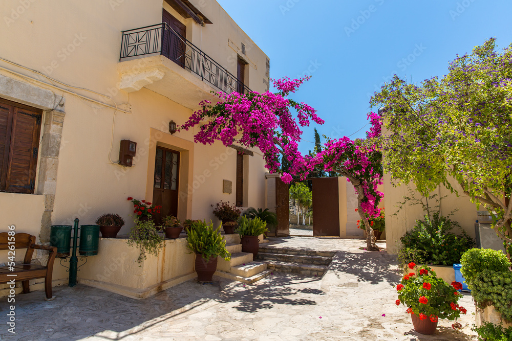 Naklejka premium Gałęzie kwiatów krzew bugenwilli różowy, Kreta, Grecja
