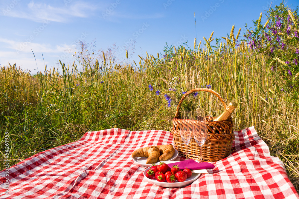 Obraz premium picnic in nature