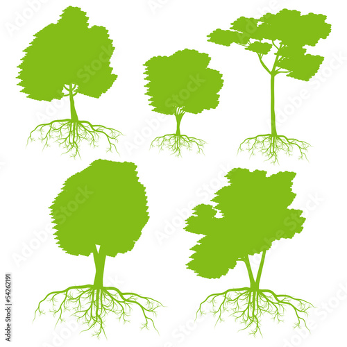 Tree with roots set background ecology vector