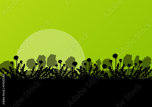 Dandelion spring and summer flower natural meadow landscape illu