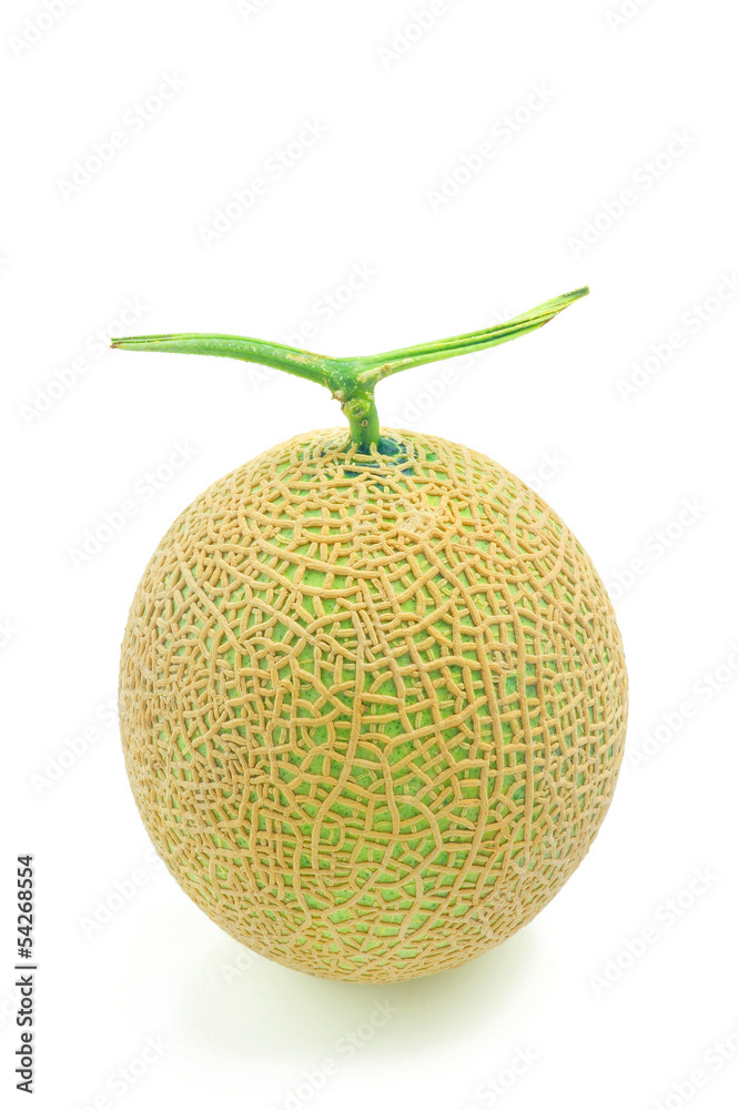 Muskmelon Muskmelon