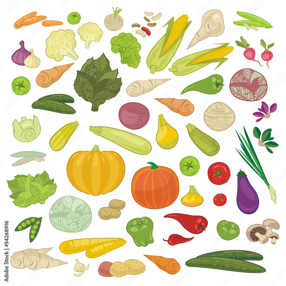 Various Vegetables Set Various Vegetables Set