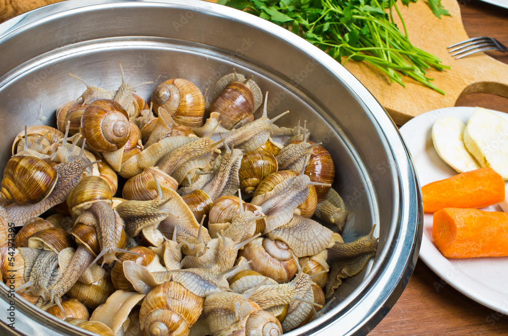 Snails in the bowl during preparation Snails in the bowl during preparation
