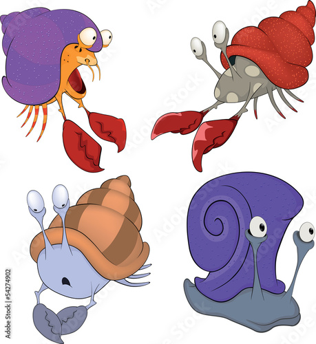 Set of sea crabs and snails cartoon