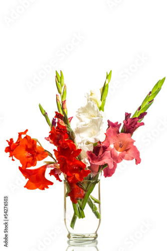 red and white gladioli in a vase