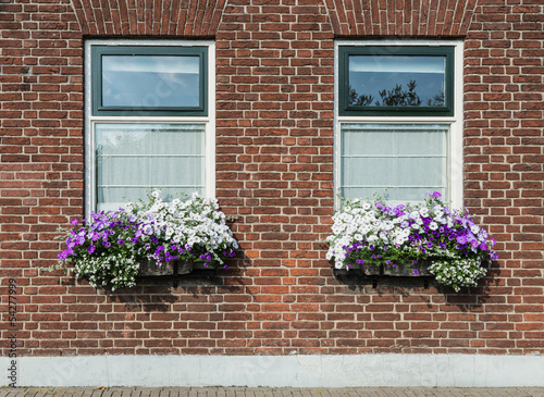 Masonry brick wall with windows and flower boxes with flowering