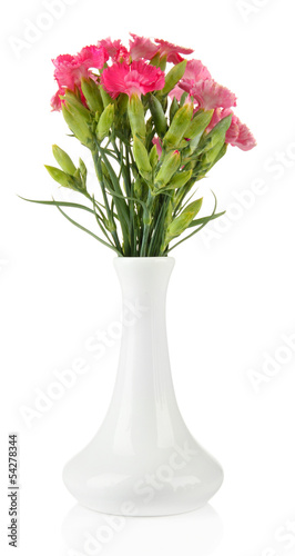Bouquet of carnations in vase  isolated on white