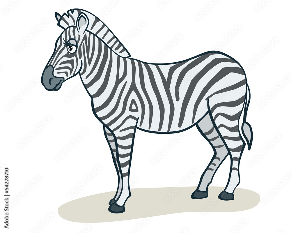 Obraz premium Cartoon zebra
