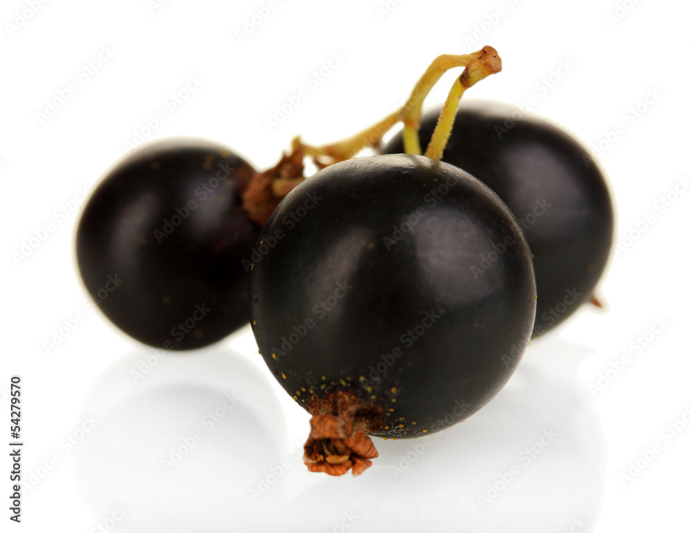 Fresh black currant isolated on white Fresh black currant isolated on white