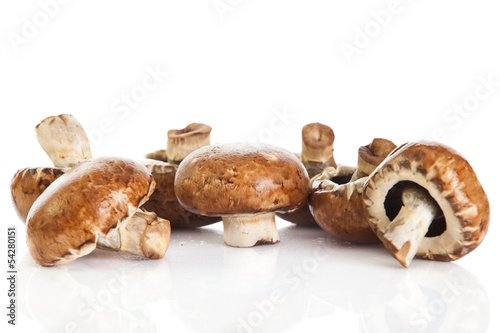 mushroom isolated on white background.