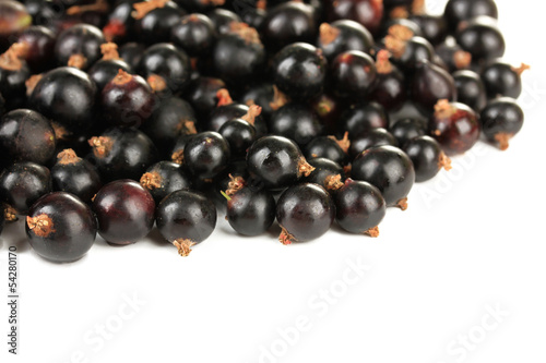 Black currant isolated on white