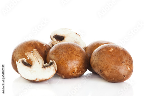 mushroom isolated on white background.