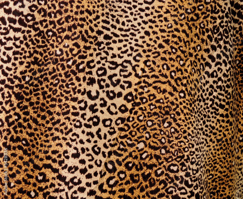 Leopard background