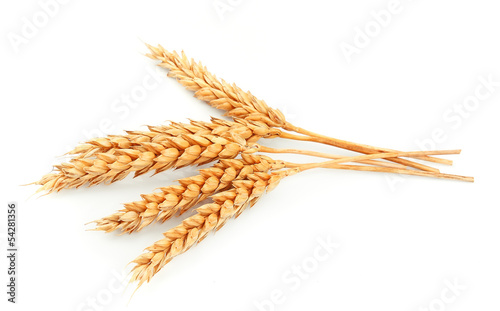 Wallpaper Mural wheat isolated