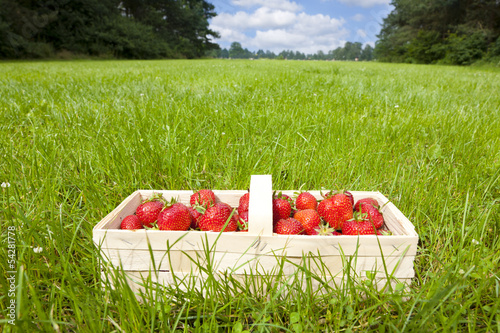 Erdbeerkörbchen