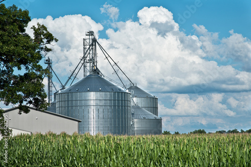 Farm grain bins / silos with cornfield and sky