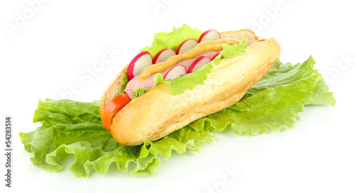 Tasty hot dog with vegetables isolated on white