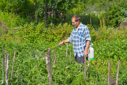 Gardener with sprinkler 6 photo