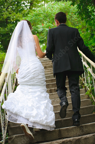 wedding couple walk up to stairs and holding hands. backview
